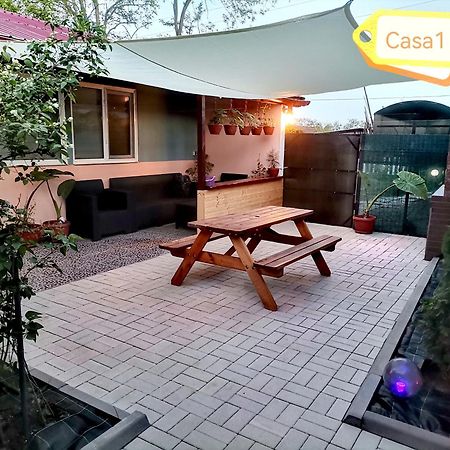 Casa Dasoveanu سولينا المظهر الخارجي الصورة