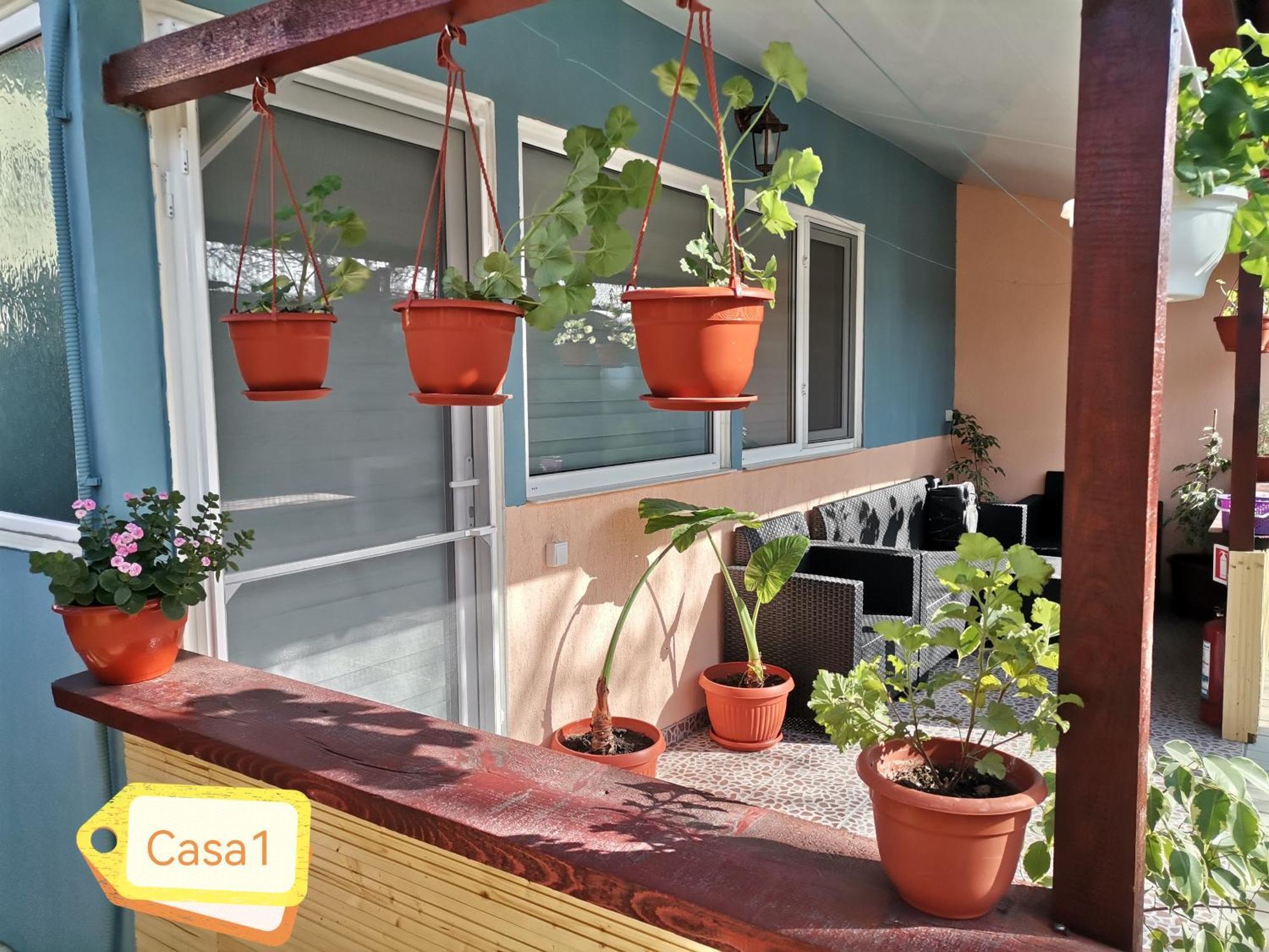 Casa Dasoveanu سولينا المظهر الخارجي الصورة