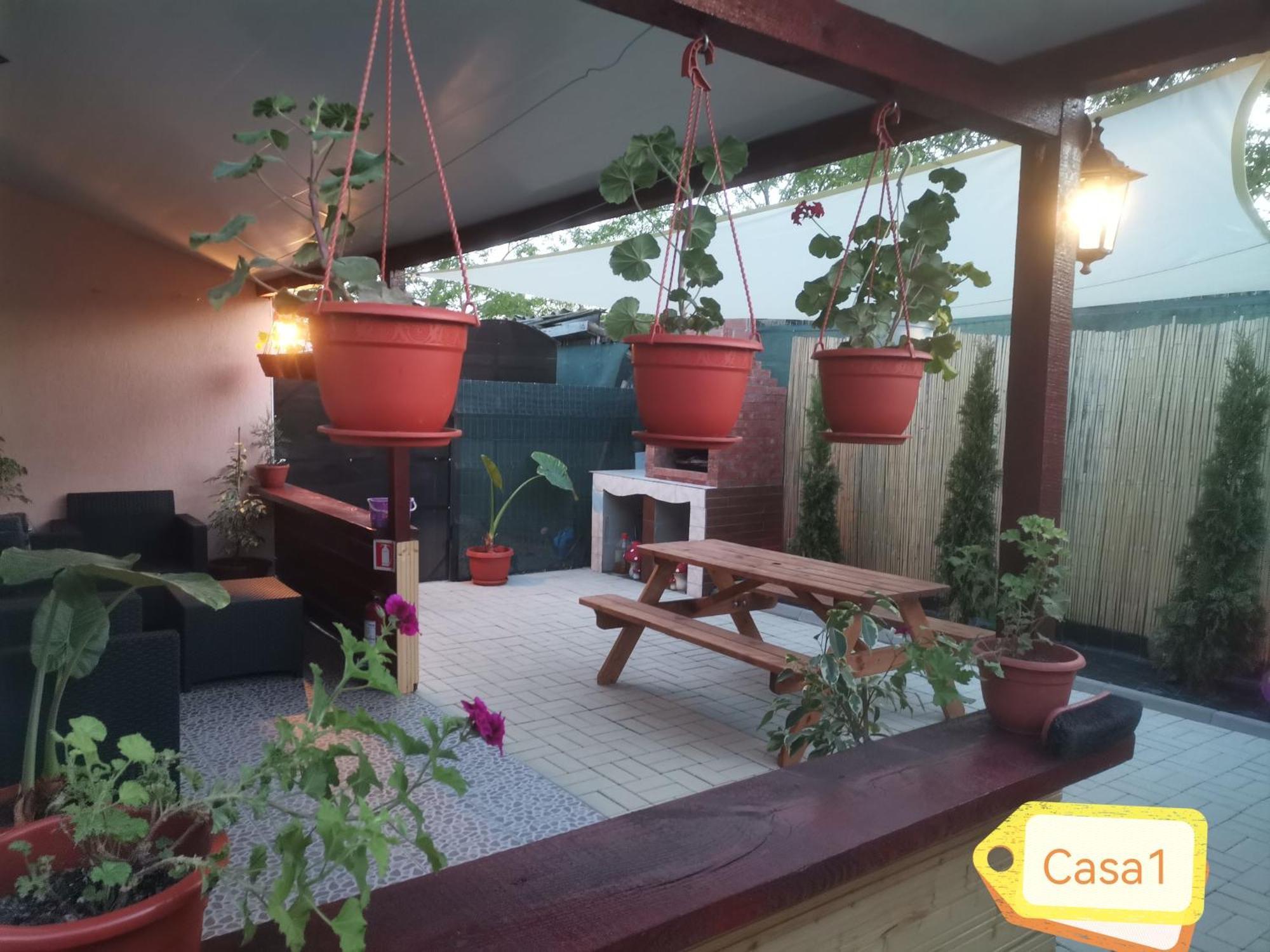 Casa Dasoveanu سولينا المظهر الخارجي الصورة